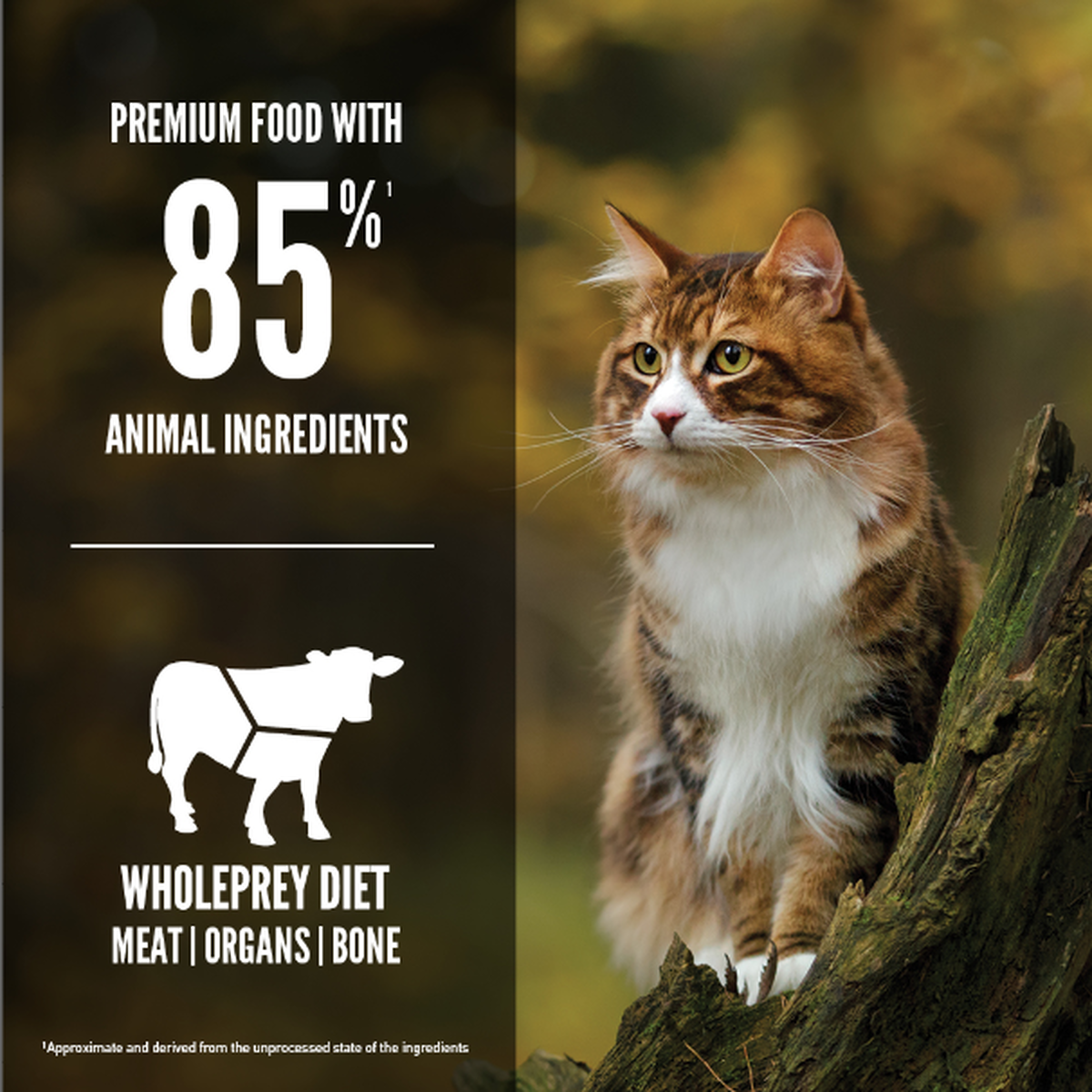 Regional red dog food